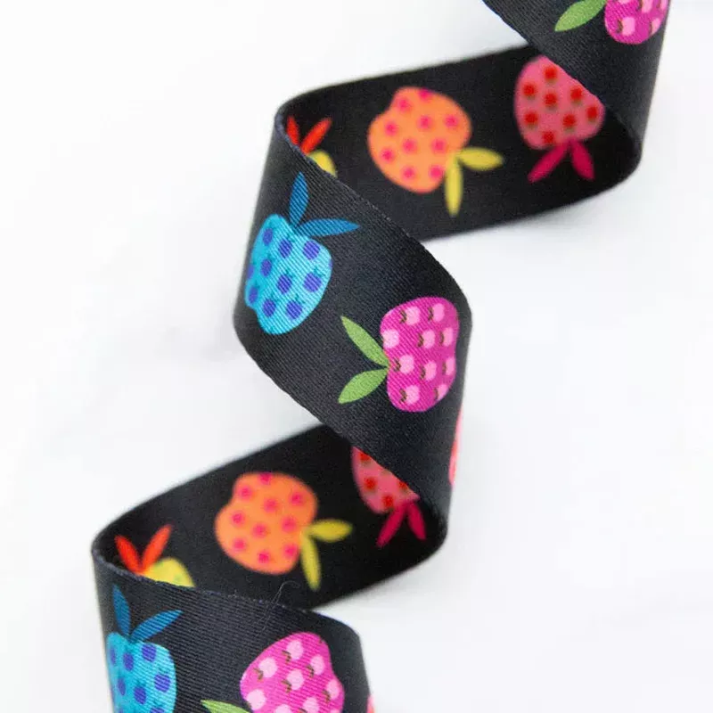 1 1/2″ Webbing | Ruby Star Society | Rainbow Apples