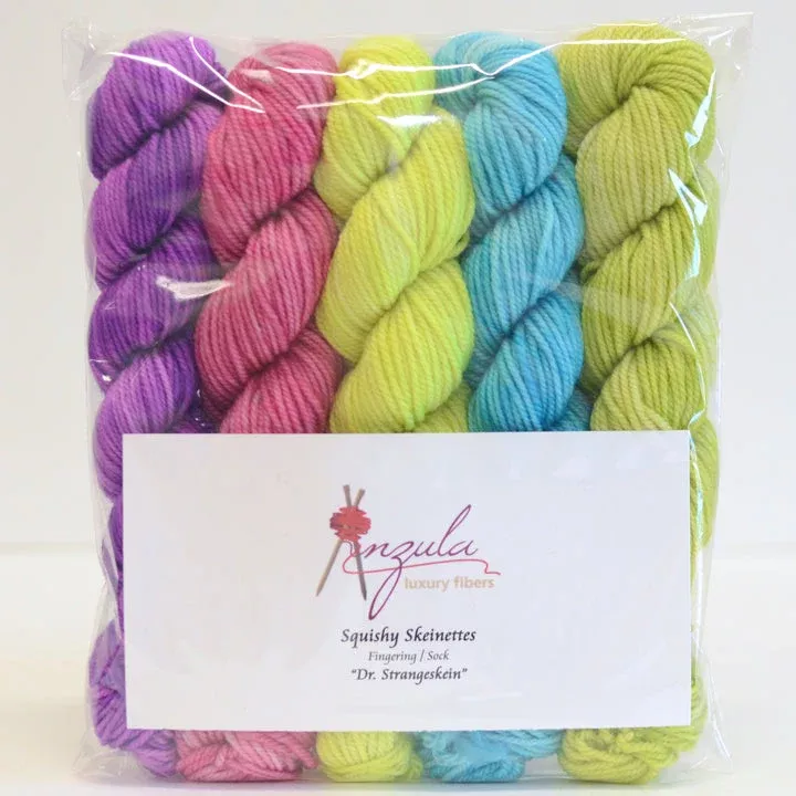 Anzula Squishy Skeinettes Kit