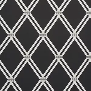 Asolo Charcoal 5009241 by Schumacher Wallpaper