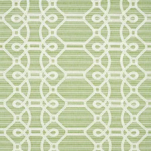 Ziz Embroidery Green 71933 by Schumacher Fabric